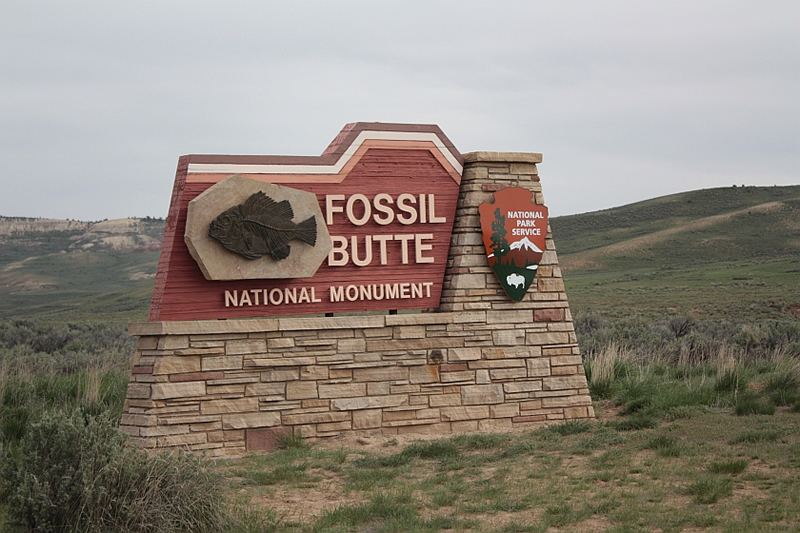 Fossil Butte National Monument